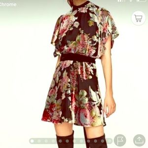 Zara Flutter sleeve velvet floral mini